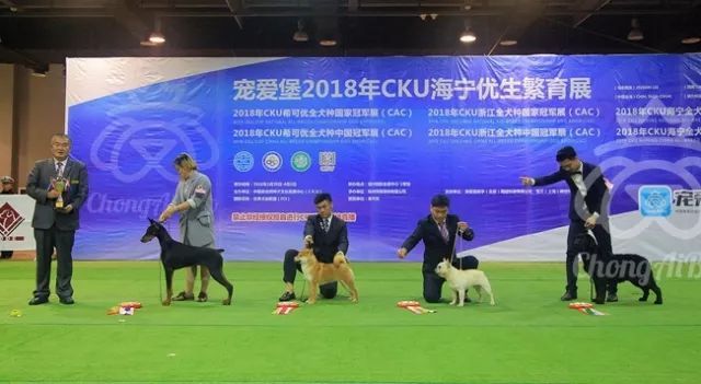 CKU赛事快报 | 3月30日海宁冠军展BIS获奖犬只-9.jpeg