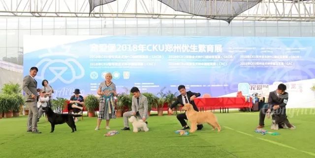 CKU赛事快报 | 4月1日郑州冠军展BIS获奖犬只-4.jpeg