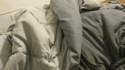 从小养狗的我，只有这件事不能坦然面对-4.gif