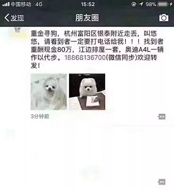 “重金寻狗！酬金80万+江边排屋+奥迪A4L” | 狗狗都去哪儿了？-1.jpeg
