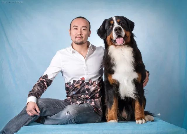 2017年CKU排行榜，伯恩山犬排行一：NIRVANA-6.jpeg