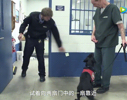你烧香拜佛，却不会善待一只狗。-5.gif