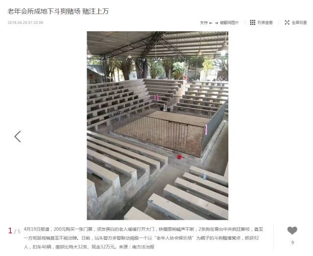 “斗狗组织者：我们抵制漠视生命”-1.jpeg