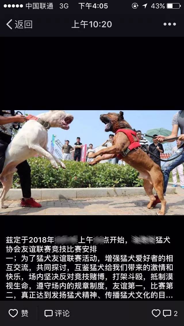 “斗狗组织者：我们抵制漠视生命”-3.jpeg