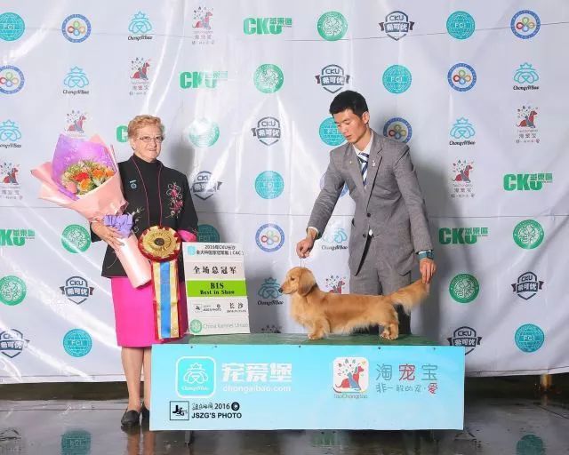 2017年CKU排行榜，腊肠犬排行一：Mike-1.jpeg