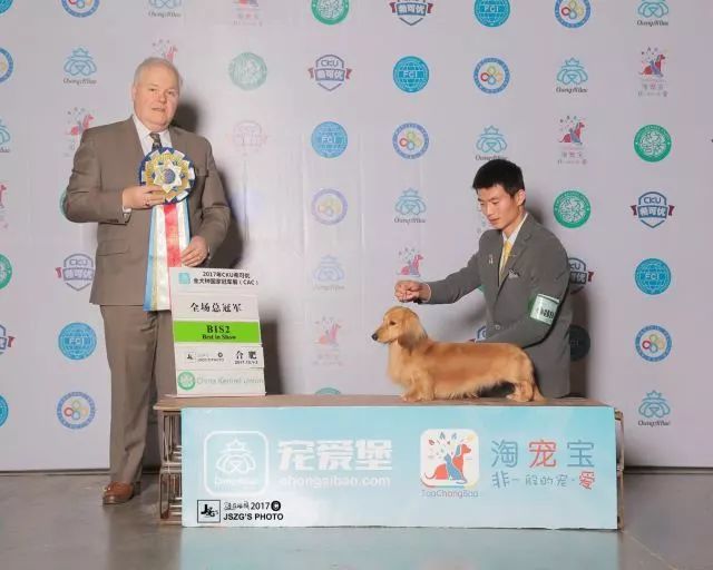 2017年CKU排行榜，腊肠犬排行一：Mike-3.jpeg