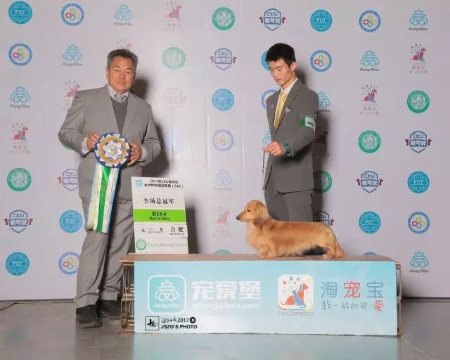 2017年CKU排行榜，腊肠犬排行一：Mike-6.jpeg