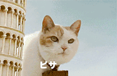“你家狗真好看，可以送我一只吗？”-3.gif