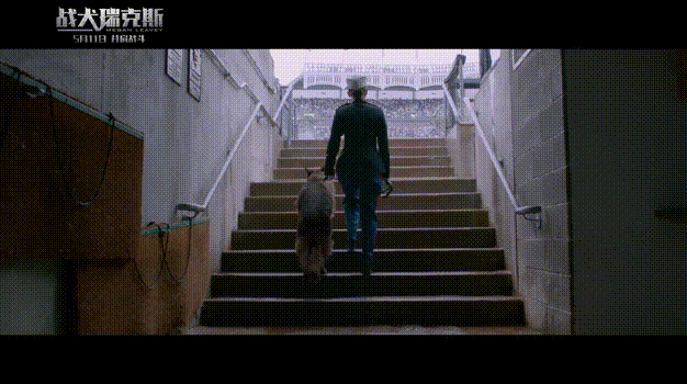 离别是什么？狗永远不懂-4.gif