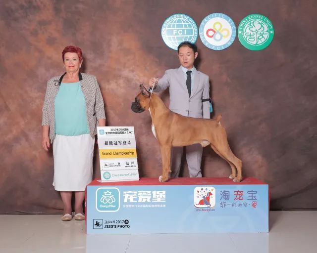 2017年CKU排行榜，拳师犬排行一：Only-1.jpeg