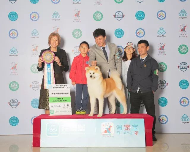 2017年CKU排行榜，秋田犬排行一：闘爱号-7.jpeg