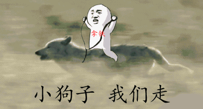 养狗的人越来越多，懂狗的人却很少-4.gif