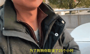 他放弃坐飞机，乘车辗转28个小时，只为带狗狗回家过年！-7.gif