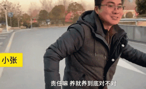 他放弃坐飞机，乘车辗转28个小时，只为带狗狗回家过年！-8.gif