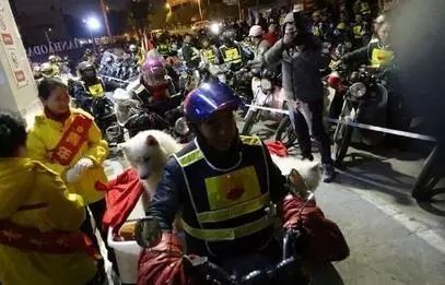 他放弃坐飞机，乘车辗转28个小时，只为带狗狗回家过年！-12.jpeg
