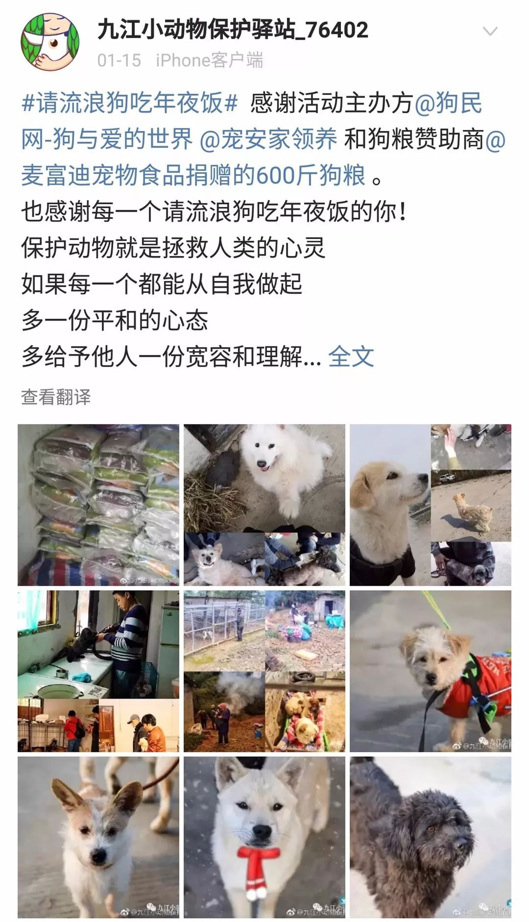他放弃坐飞机，乘车辗转28个小时，只为带狗狗回家过年！-15.jpeg