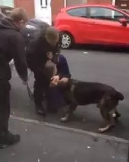 缉毒犬查获5000万元走私烟草，黑帮竟悬赏拿下它的头颅！-9.jpeg