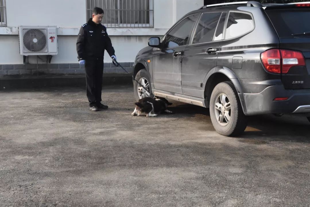 南京警犬支队邀请小学生到基地和警犬互动，这才是爱狗正能量！-5.jpeg
