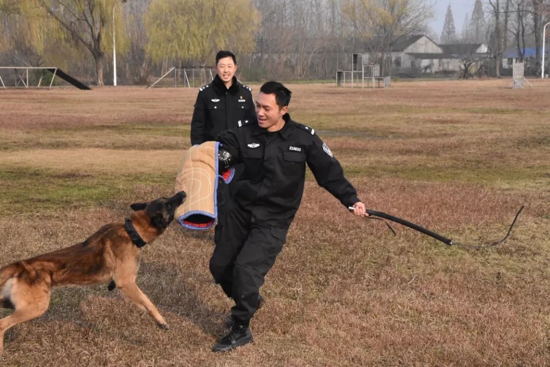 南京警犬支队邀请小学生到基地和警犬互动，这才是爱狗正能量！-10.jpeg