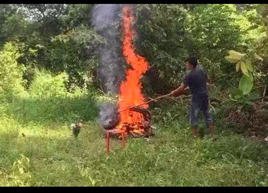 主人带狗旅游半途扔掉，狗狗坚持原地等待两年，​好狗傻忠诚！-5.jpeg