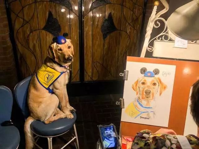 服务犬实习生对“灰姑娘”一见钟情，赖在人家裙子上不肯走...-8.jpeg