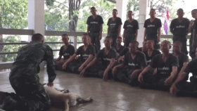军官教学演示CPR的模型竟是一条狗！这装死能力也是很强了！-1.gif