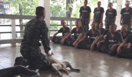 军官教学演示CPR的模型竟是一条狗！这装死能力也是很强了！-5.gif
