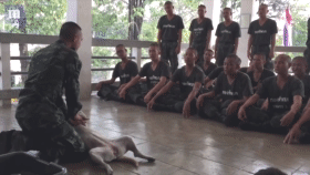 军官教学演示CPR的模型竟是一条狗！这装死能力也是很强了！-4.gif