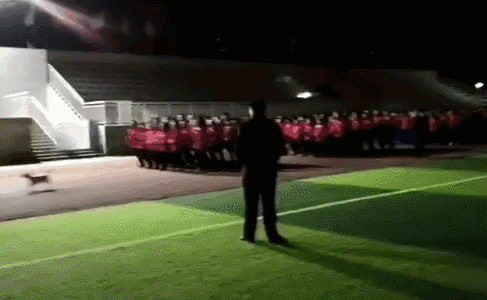 五年间，这只狗狗一直在学校领跑早操，受全校师生爱护！-1.gif