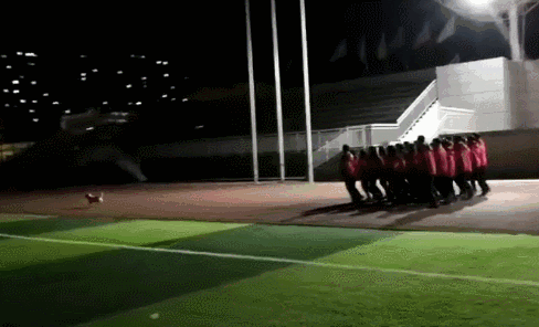 五年间，这只狗狗一直在学校领跑早操，受全校师生爱护！-3.gif