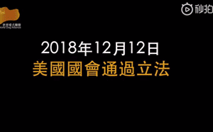 美国人在狗肉店救了五只狗狗：就算再难，也要运回美国！-6.gif