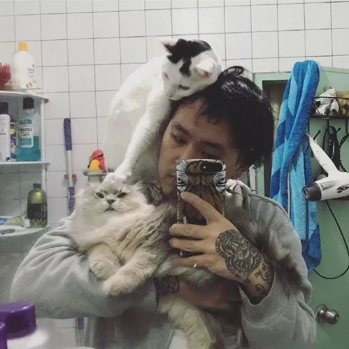 猫咪争起宠来，连自己都怕！-3.jpeg