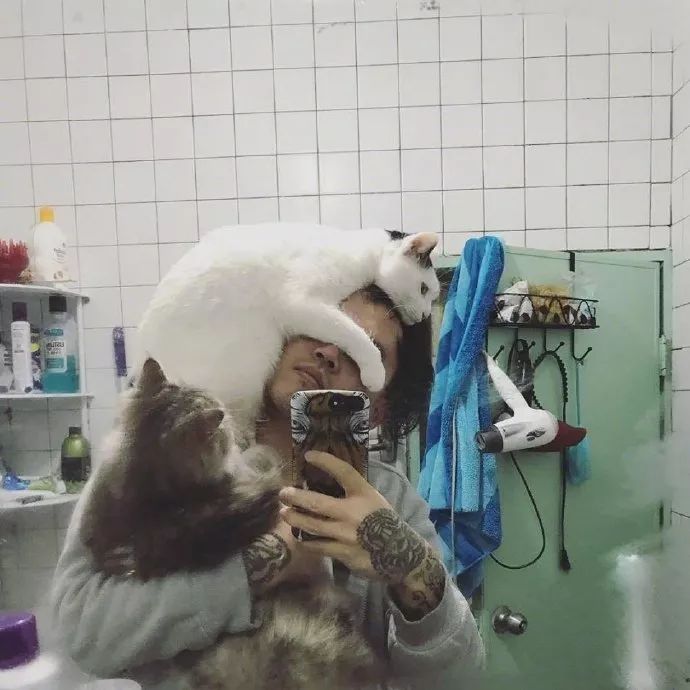 猫咪争起宠来，连自己都怕！-4.jpeg