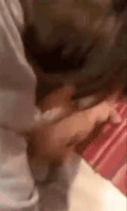 小金毛被卡在马桶里，消防员蜀黍边救边安抚，超暖了！-7.gif