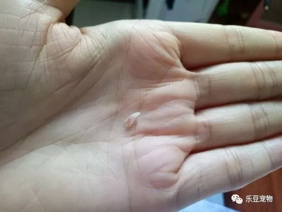 掉入大粪池的小奶猫，没人愿救，一女孩走过去直接捞了出来！-17.jpeg