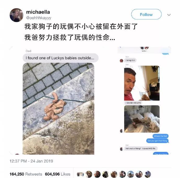 狗狗最爱的玩具坏了，爸爸想了个办法，超有爱！-1.jpeg