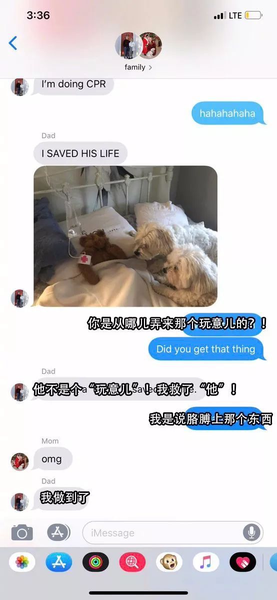 狗狗最爱的玩具坏了，爸爸想了个办法，超有爱！-6.jpeg