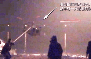 电影《疯狂的外星人》涉嫌虐狗？其实这只狗狗已经被导演领养了…-1.gif