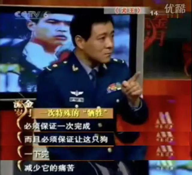 电影《疯狂的外星人》涉嫌虐狗？其实这只狗狗已经被导演领养了…-12.jpeg