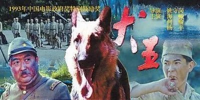 电影《疯狂的外星人》涉嫌虐狗？其实这只狗狗已经被导演领养了…-11.jpeg