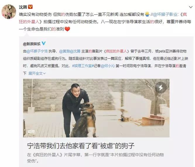 电影《疯狂的外星人》涉嫌虐狗？其实这只狗狗已经被导演领养了…-10.jpeg