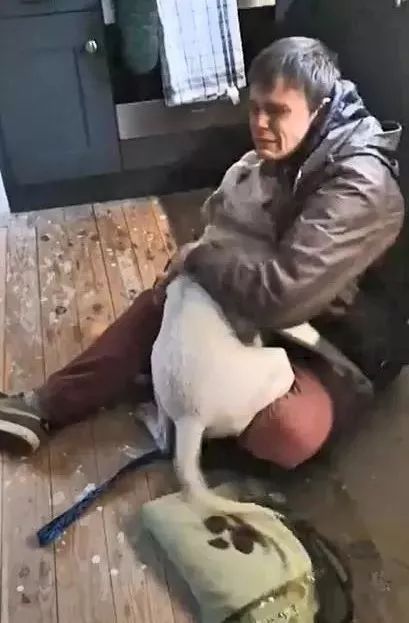流浪汉与走失爱犬重聚后奔溃大哭：我以为再也见不到你了......-2.jpeg