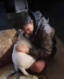 流浪汉与走失爱犬重聚后奔溃大哭：我以为再也见不到你了......-3.gif
