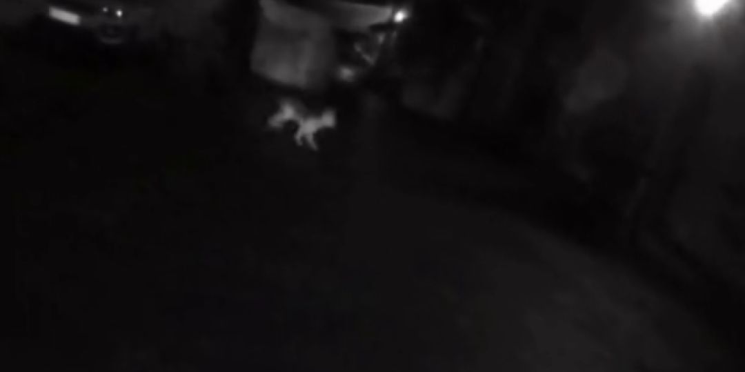 女店主报警有陌生人不停敲门，民警全副武装前往...结果笑喷了！-1.jpeg
