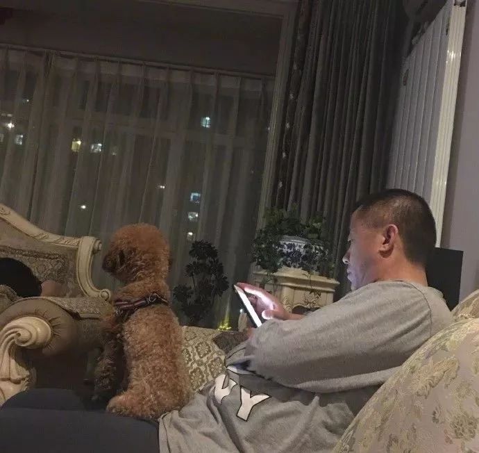 不抱狗的爸爸，突然宠幸把狗放到了腿上，狗砸愣了：不敢动...-1.jpeg