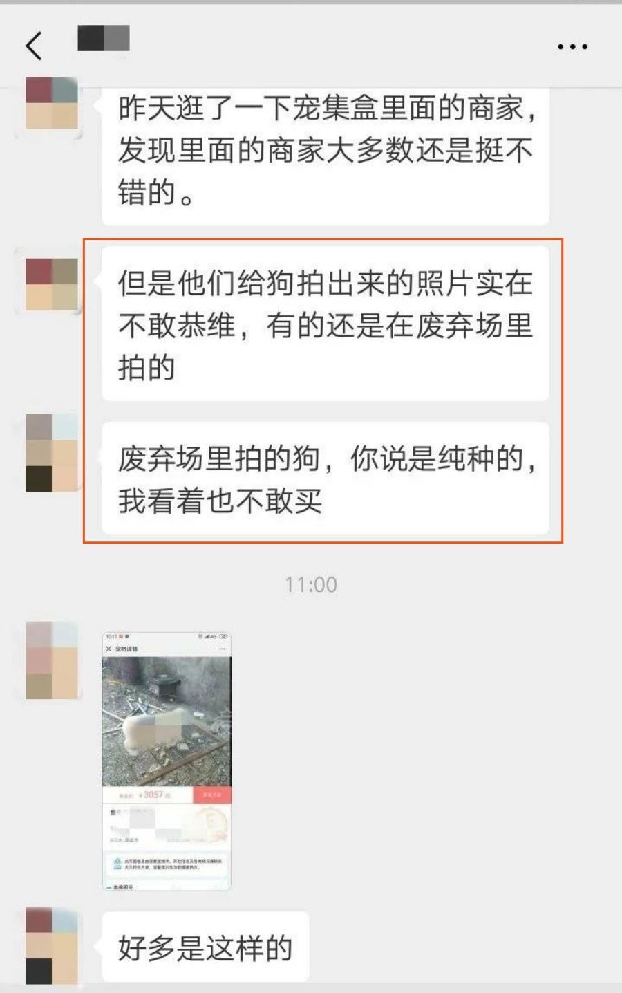 犬舍必读 | 销量不好？90%的犬舍忽略了这一点……-1.jpeg