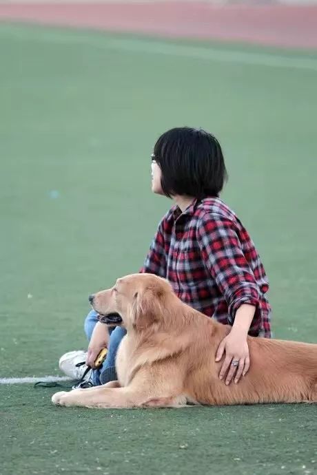 犬舍必读 | 销量不好？90%的犬舍忽略了这一点……-12.jpeg