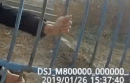 胖狗被栅栏门卡住头，民警边救边吐槽：“你脖子真粗......”-3.gif