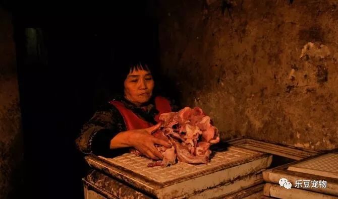 五十岁老人撑起几百只流浪动物的家，她比很多人都值得被尊重……-1.jpeg