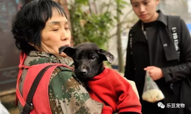 五十岁老人撑起几百只流浪动物的家，她比很多人都值得被尊重……-3.jpeg